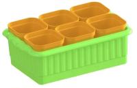 Набор для рассады "Дом и Дача" цветной, стаканчики со съемным дном 6 стаканчиков 247*166*90 мм