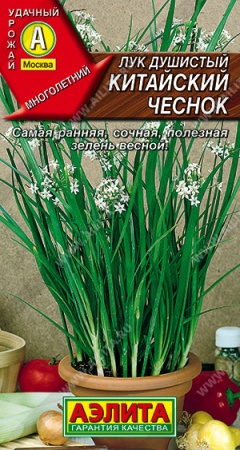 Лук душистный Китайский чеснок/аэлита/цп