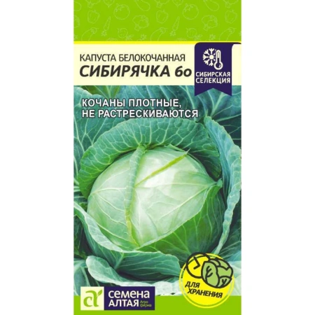 Капуста Сибирячка 60/Сем Алт/цп 0,5 гр. Сибирская Селекция