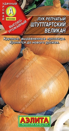 Лук Штутнарский Великан/Аэлита/цп