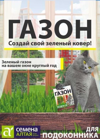 Газонная трава Для подоконника/Сем Алт/цп 30 гр