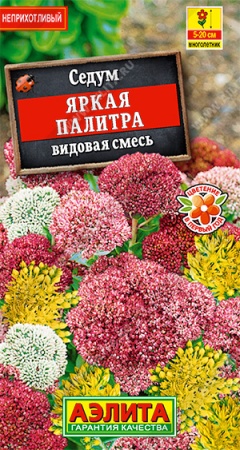 Седум Яркая палитра, смесь/Аэлита/цп