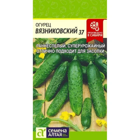 Огурец Вязниковский 37/Сем Алт/цп 0,5 гр.