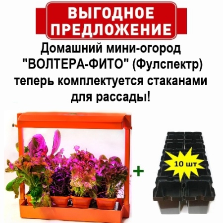 Домашний мини-огород "ВОЛТЕРА-ФИТО" (Фулспектр) оранжевый с дополнительной комплектацией (10стаканов